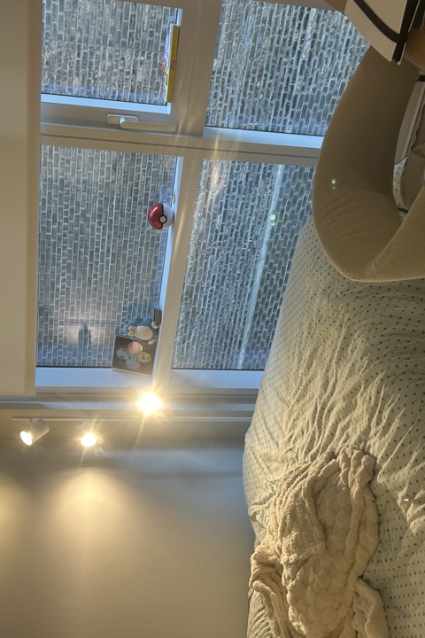 4b 4br south loop - 3