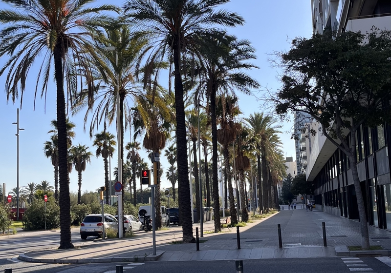 home swap in Barcelona, Spain