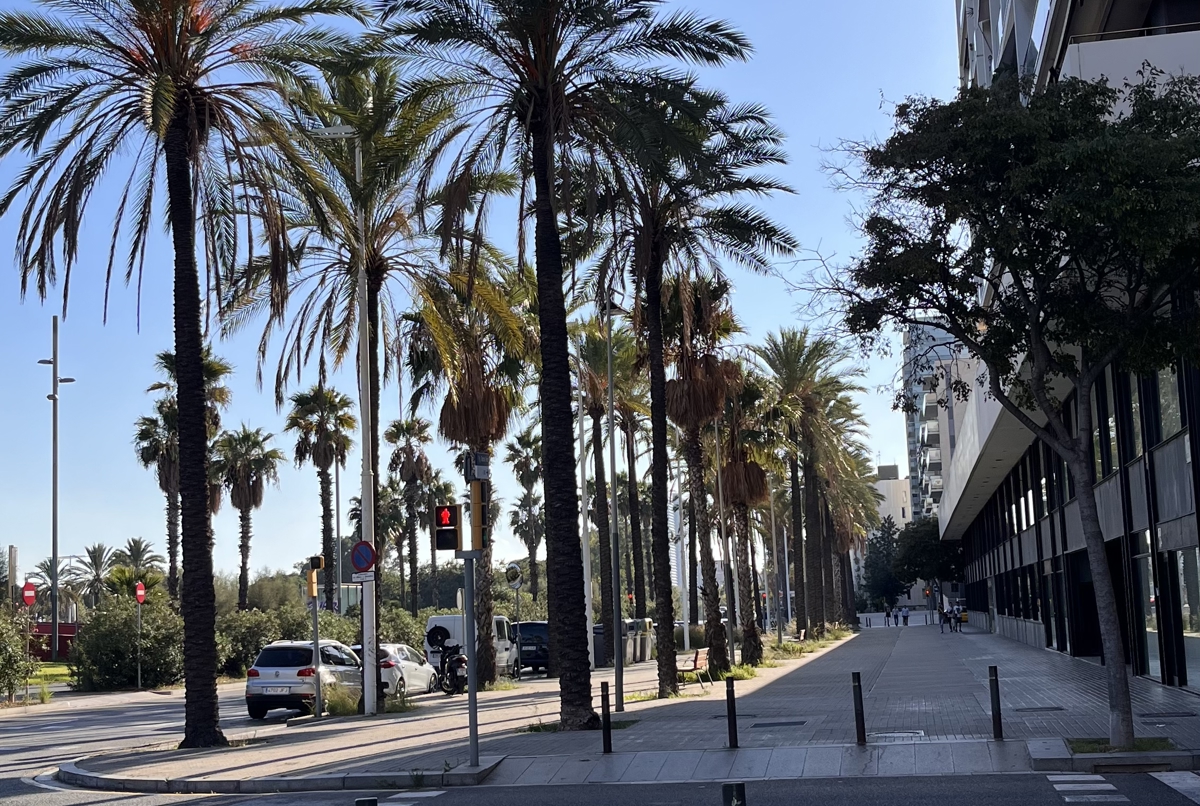 Barcelona 2-Bedroom apartment in El Poblenou 🌴🌊☀