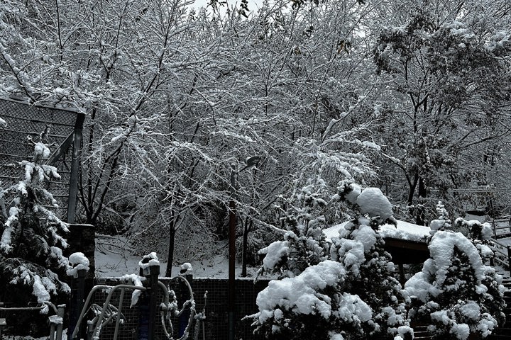 Cozy house in Seoul - 12