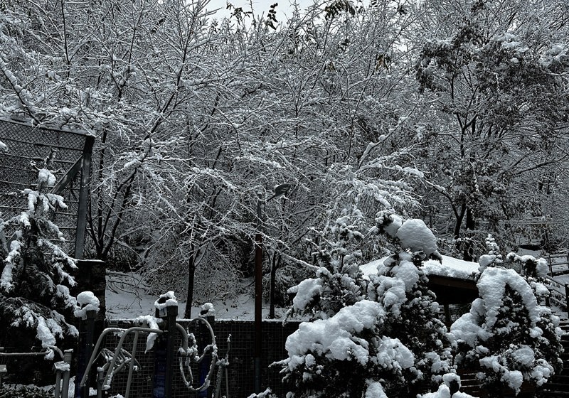 home swap in Seoul, South Korea