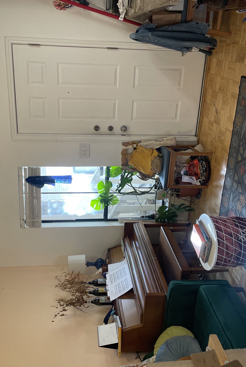 Hyde Park Apartment for Solo Fem/Queer Traveler