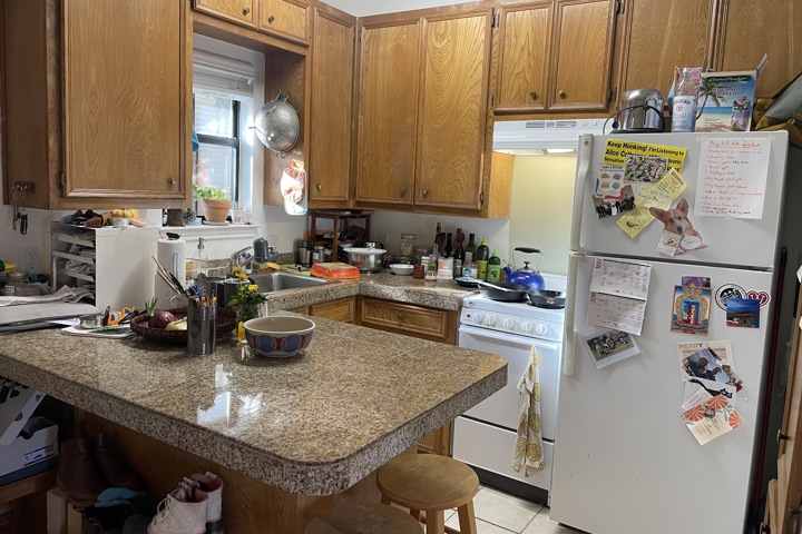 Hyde Park Apartment for Solo Fem/Queer Traveler - 3