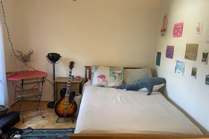Hyde Park Apartment for Solo Fem/Queer Traveler - 4