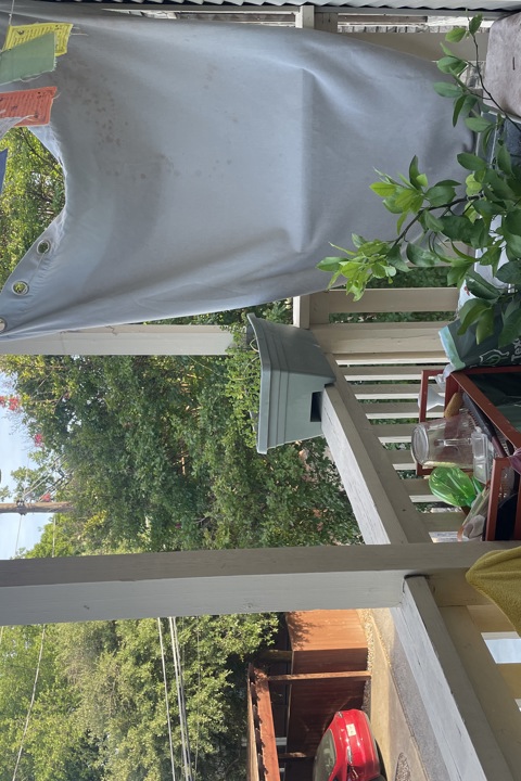 Hyde Park Apartment for Solo Fem/Queer Traveler - 8