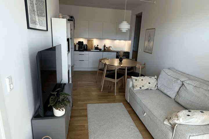Cozy apartment in Aarhus, Denmark - 3
