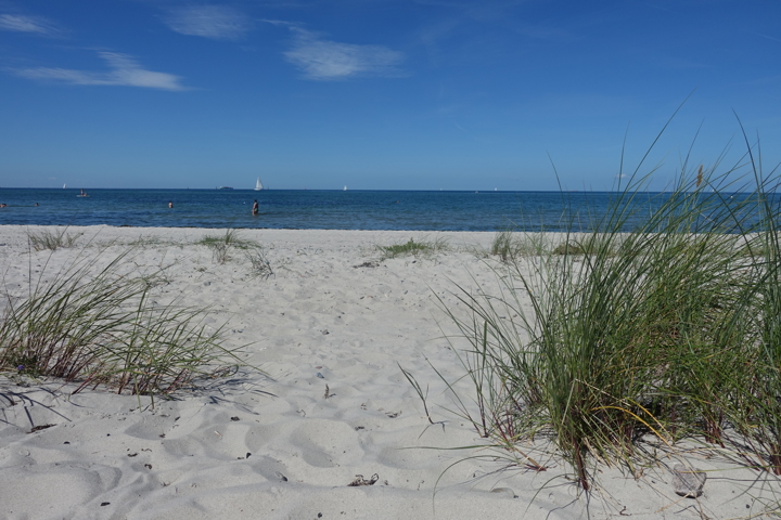schöne Altbauwohnung in bester Lage - 10