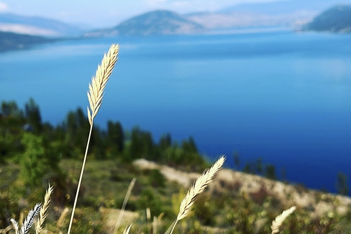 Lake Okanagan Cottage in Kelowna, B.C, Canada - 14