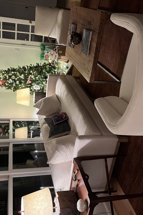 Mid‑Century Mountain Retreat in Tryon, NC - 6