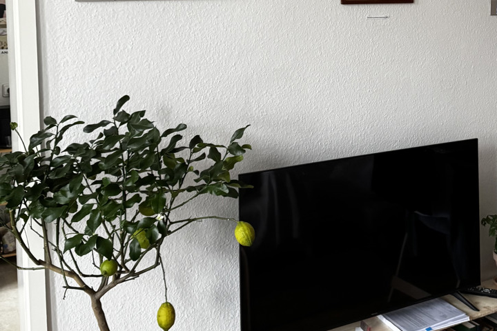 Stylish studio in the heart of Boxhagener Platz - 3
