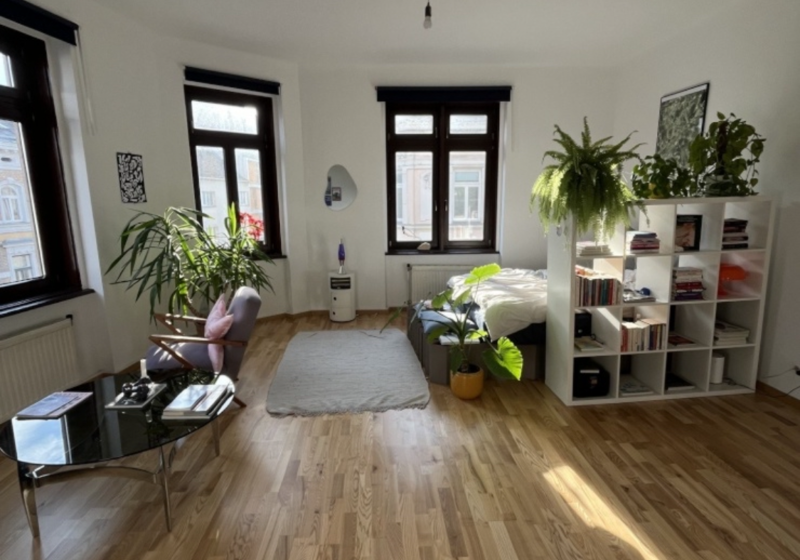 home swap in Vienna, Austria