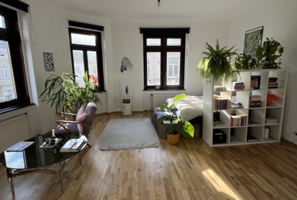 Bright and spacey one-room apartment