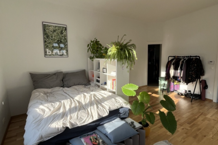 Bright and spacey one-room apartment - 3