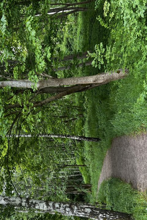 Cozy and central apartment - 11