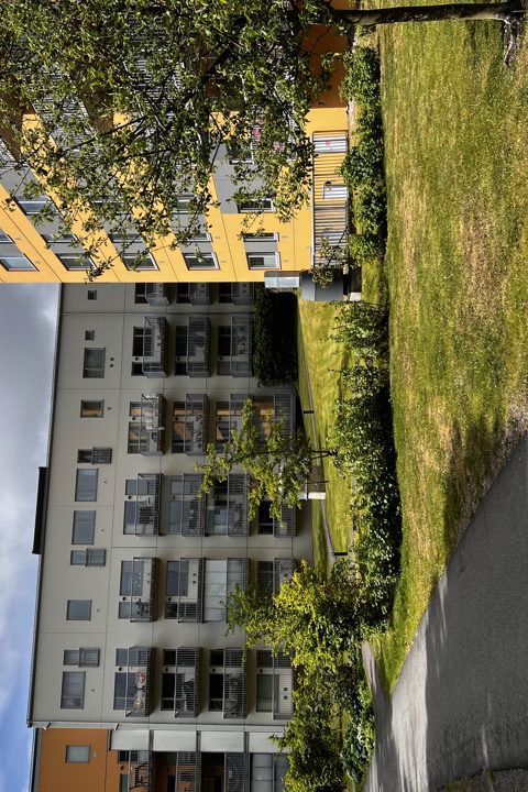 Cozy and central apartment - 13