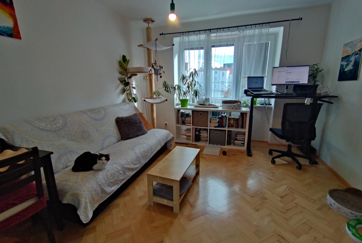 Stay in a local Czech town with 2 cats!