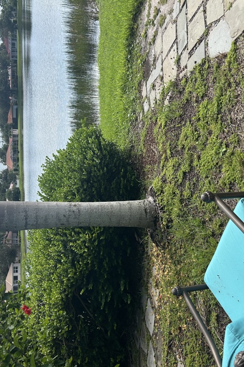 Lush sanctuary with pool & pond near epic beaches - 13