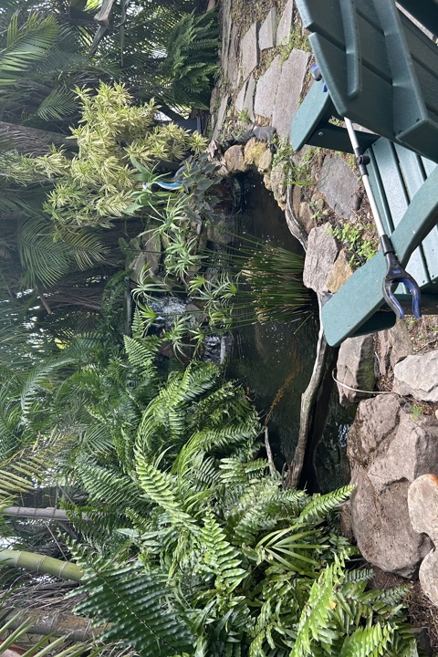 Lush sanctuary with pool & pond near epic beaches - 14