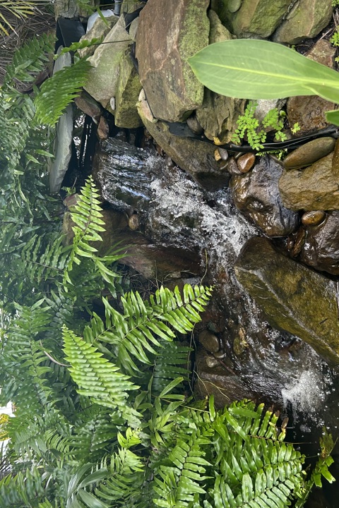 Lush sanctuary with pool & pond near epic beaches - 15