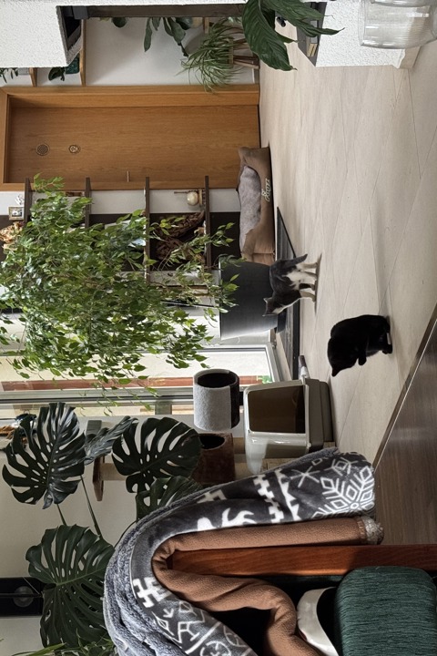 Happy Zen spot at the end of town - 3