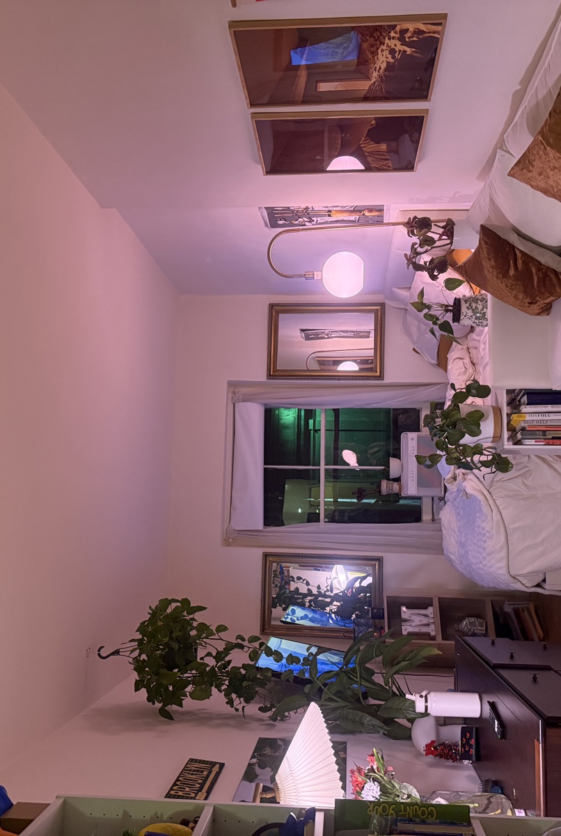 Charming cozy studio in Brooklyn Heights