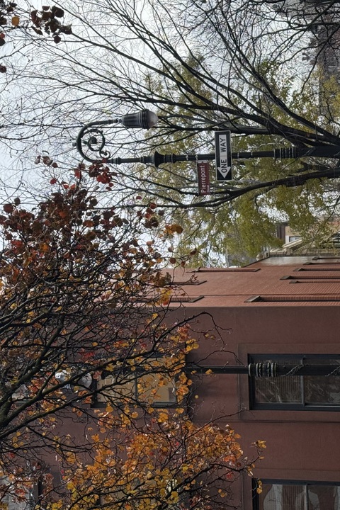 Charming cozy studio in Brooklyn Heights - 5