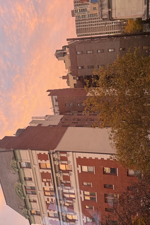 Charming cozy studio in Brooklyn Heights - 6