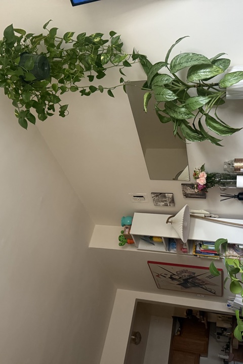 Charming cozy studio in Brooklyn Heights - 2