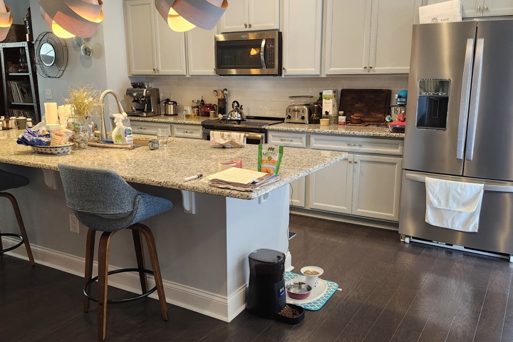 Charlotte Townhouse - 1