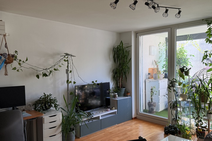 Quiet green home w rooftop views – well connected - 2