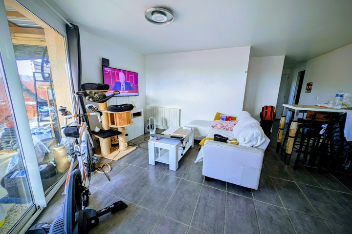 Bright apartment with large garden and pets to car - 1