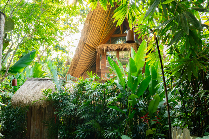 Villa Astra, a rare jungle cob home in an internat - 3