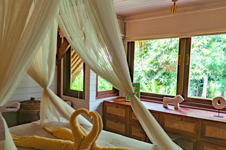 Villa Astra, a rare jungle cob home in an internat - 6