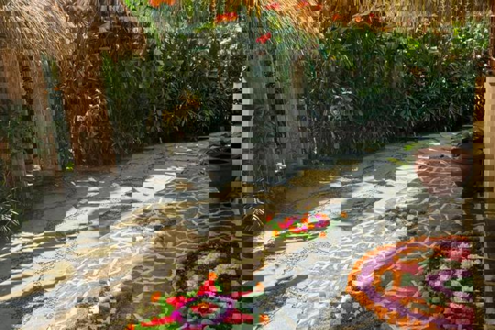 Villa Astra, a rare jungle cob home in an internat - 13