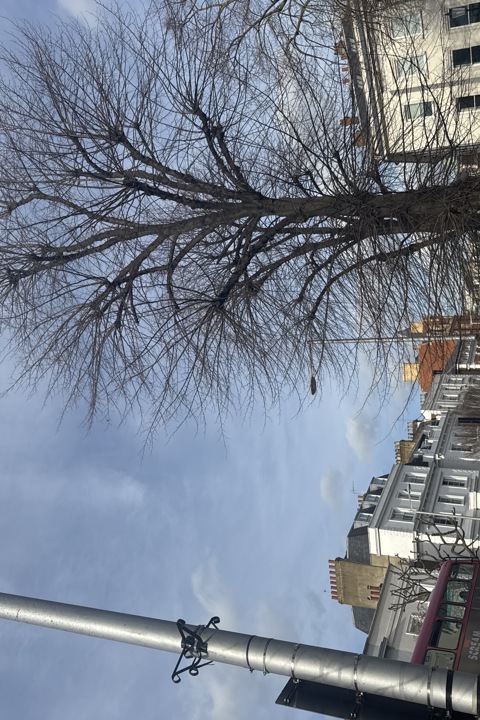 Chic 2BR Flat (1Br + Office) in Notting Hill - 8