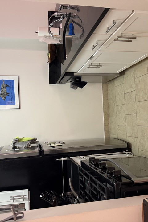 1 bed 1 bath in heart of Brooklyn Heights - 3