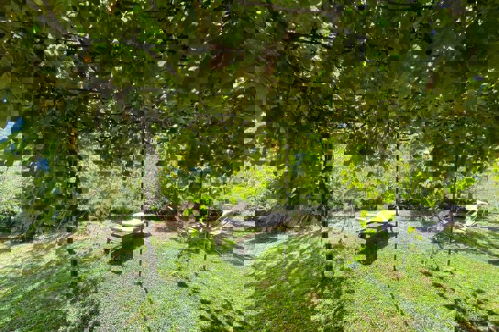 Amazing countryside villa - 2