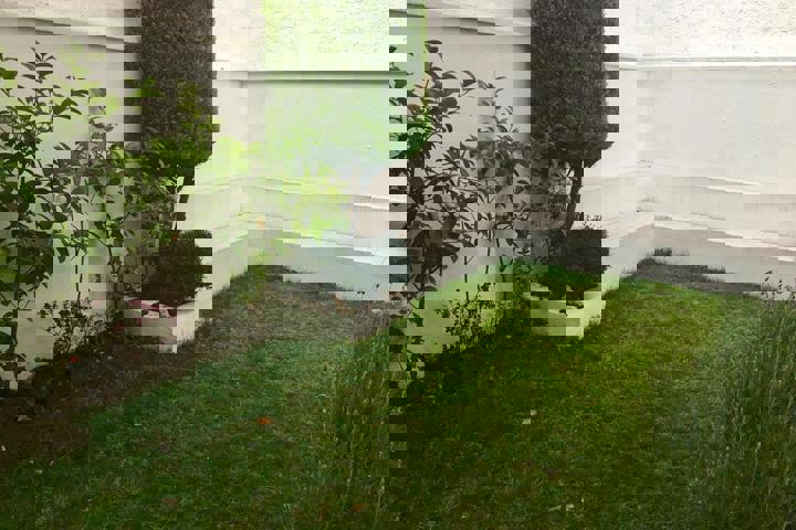 Modern Fully Furnished House in Interlomas - 2