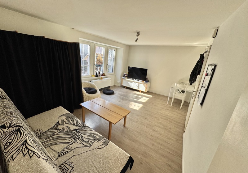 home swap in Baden, Switzerland