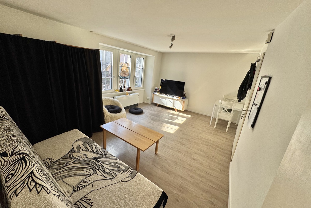Cozy Swiss Apartment ☺️