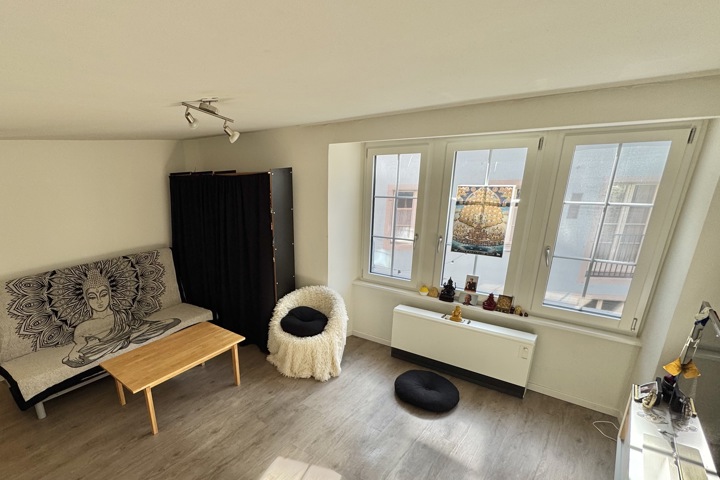 Cozy Swiss Apartment ☺️ - 1