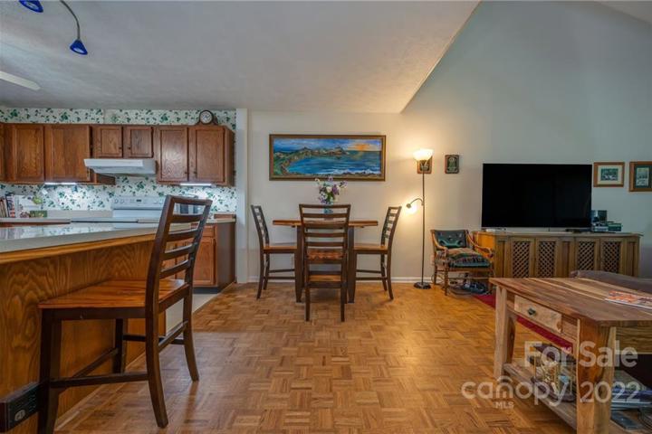 Condo steps from Ecusta Trail. Great hiking nearby - 3