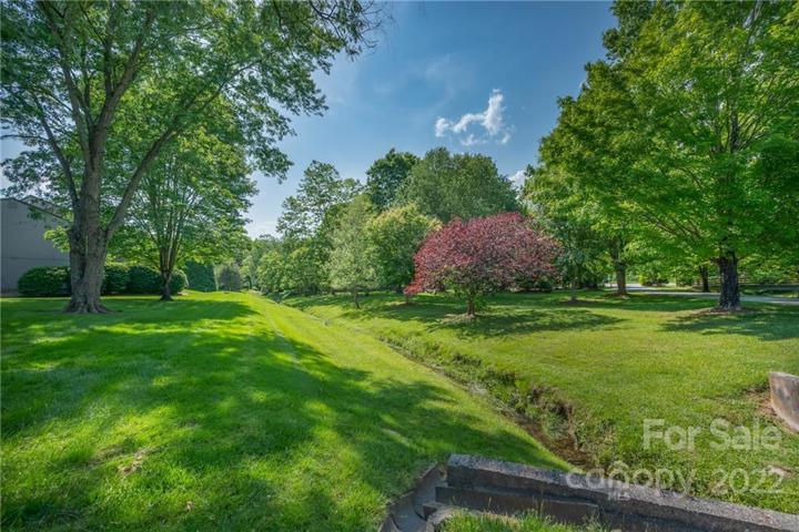 Condo steps from Ecusta Trail. Great hiking nearby - 5