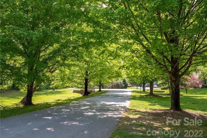 Condo steps from Ecusta Trail. Great hiking nearby - 6