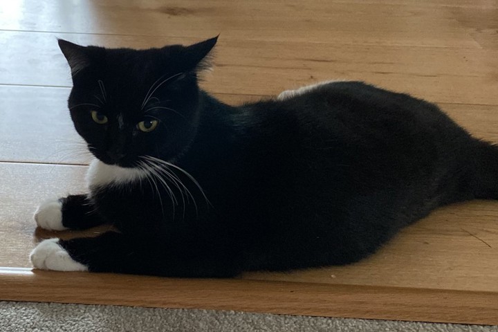 Large, Modern and Stylish - 12