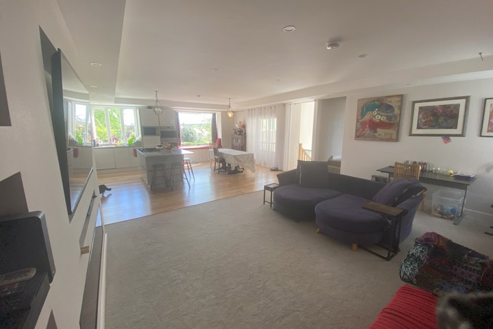 Large, Modern and Stylish - 14