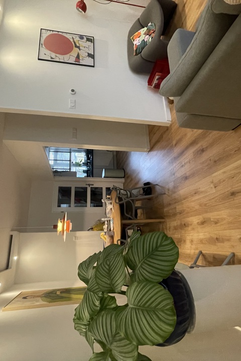 Cute family home with garden in Amsterdam - 2