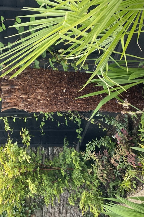 Renovated Georgian house in the heart of Montpelie - 4