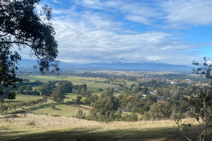 Modern home surrounded by Yarra Valley Wineries - 6