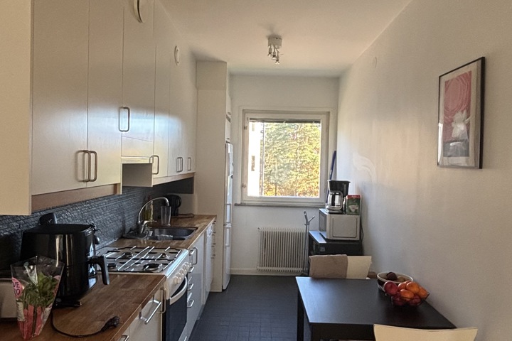 Bright & Spacious 1BR Apartment in Stockholm - 3